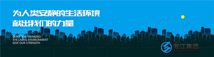 船舶避震接头,供热橡胶挠性接头,污水厂橡胶挠性接头