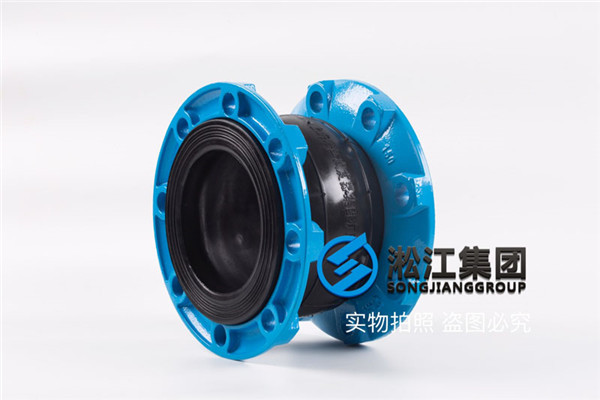 福州电厂使用DN250管道减震器