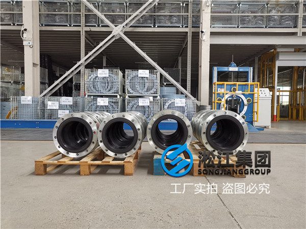 福州电厂使用DN250管道减震器