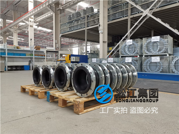 福州电厂使用DN250管道减震器