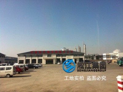 晋开化工采用上海淞江单球橡胶接头产品!